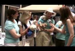 All For Animals #2: Broadway Barks 2009