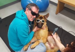 Adam & Buddy wearing protective glasses while Buddy gets laser therapy for his wound.