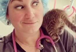 All For Animals TV #63 – Meet Ellen Carozza, The Cat LVT