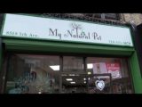 All For Animals #70- My Natural Pet Shop Covid-19 Brooklyn Pet Food Pantry