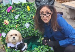 All For Animals TV #74: The 31st Annual Tompkins Square Halloween Dog Parade