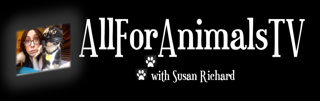 All For Animals TV