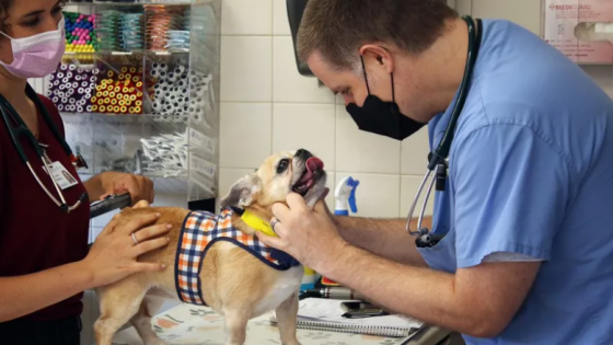 Animal Medical Center Hosts Webinar on Mystery Dog Illness
