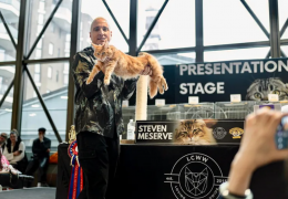 Loving Cats Worldwide brings CATstravaganza to Westchester County Center May 4 & 5