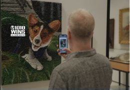 Museum of Dog displays Dog Kibble Art