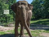 WCS’s Bronx Zoo, AP Photo/Bebeto Matthews