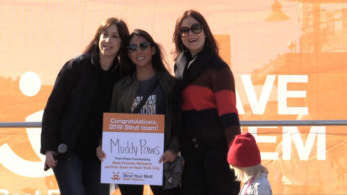 Strutt Your Mutt NYC 2019