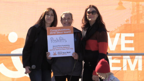 Strutt Your Mutt NYC 2019