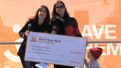 Strutt Your Mutt NYC 2019