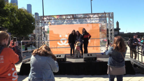 Strutt Your Mutt NYC 2019