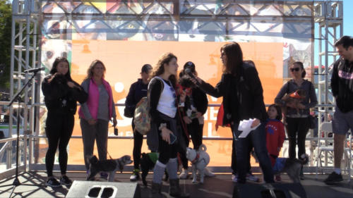 Strutt Your Mutt NYC 2019