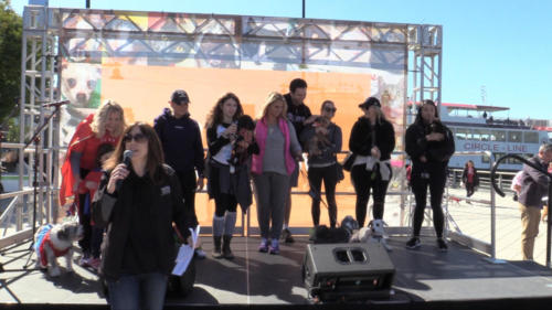 Strutt Your Mutt NYC 2019