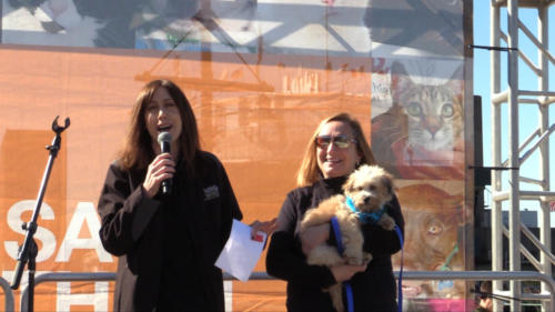 Strutt Your Mutt NYC 2019